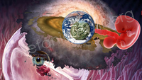 Collage &quot;Ich und das Universum&quot;: Vor Hintergrund einer gef&auml;rbten Zelle: Galaxie, darauf All-Ansicht der Erde, ene r&ouml;mische M&uuml;nze, daneben ein Embryo, unten ein Auge, &copy; Stefanie Hallberg